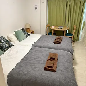 アパート リブシティ錦糸町参番館上層階眺望良好北欧ルーム, Akihabara 6mins, 8 Mins, Direct To Narita Airport 成田空港直達, 東京都